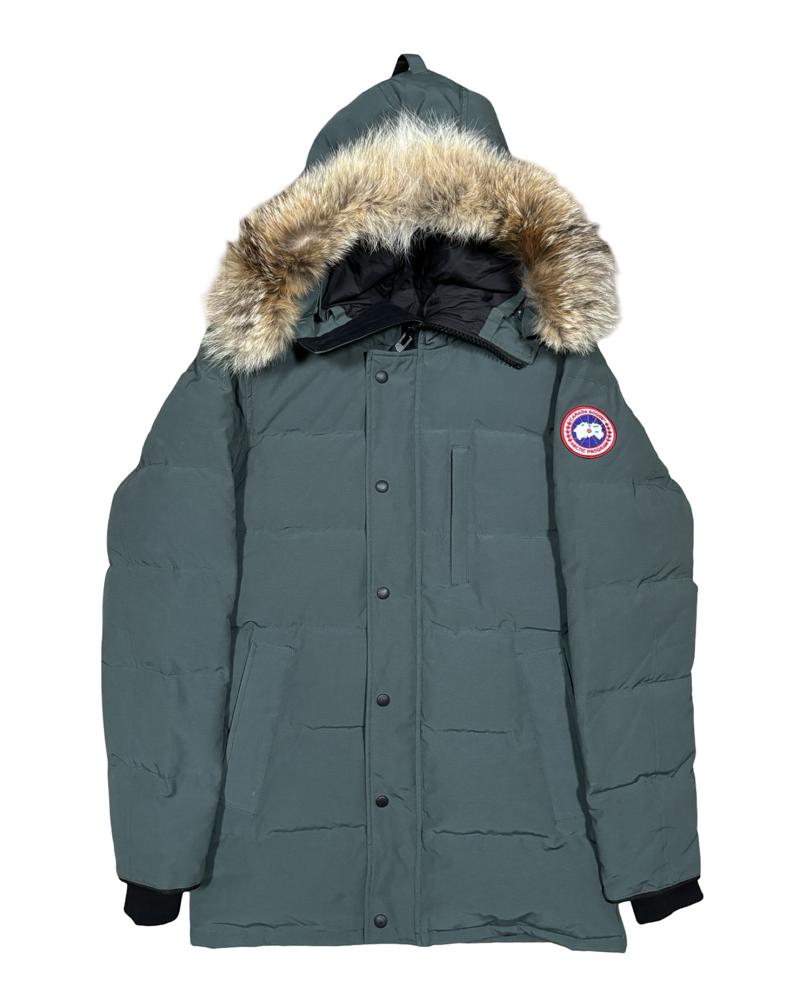 Canada Goose Carson Parka Green Goose Jacket CANADA GOOSE 3805M