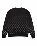 LOUIS VUITTON GRADIENT SWEATER