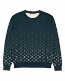 LOUIS VUITTON GRADIENT SWEATER