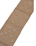 LOUIS VUITTON LOGOMANIA HUIVI