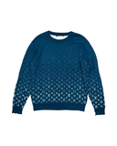 LOUIS VUITTON GRADIENT SWEATSHIRT