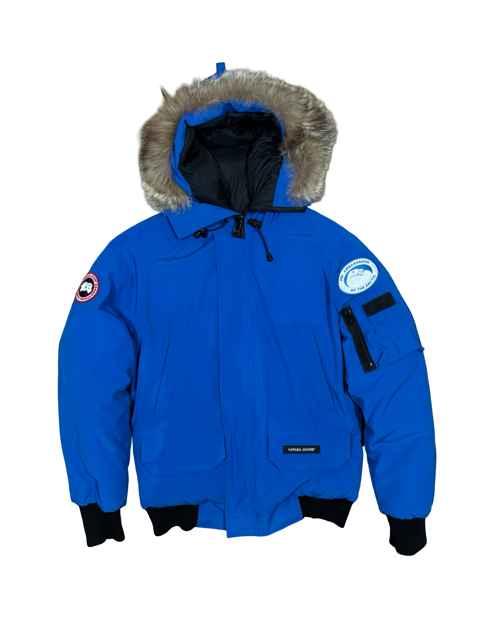 CANADA GOOSE CHILLIWACK PBI BOMBER