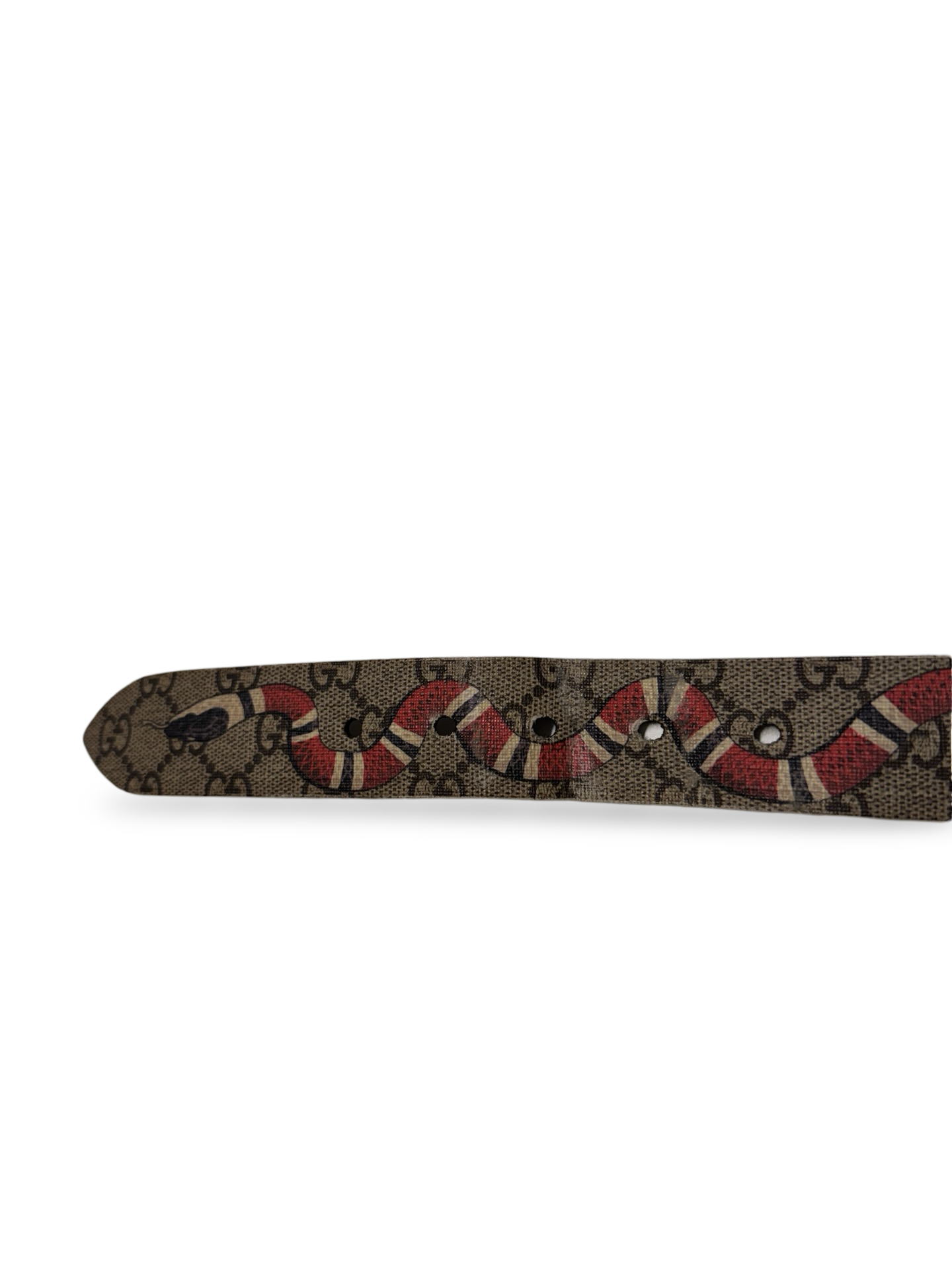 GUCCI SNAKE BELT