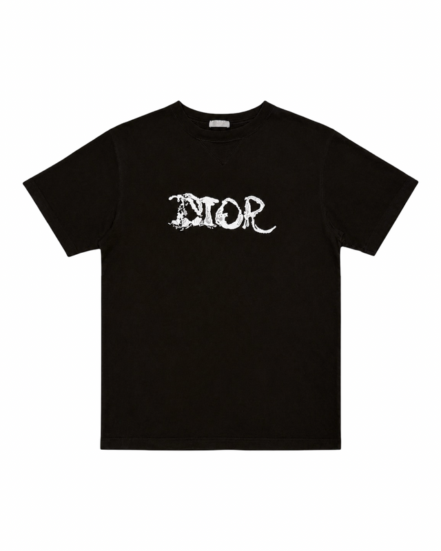 DIOR LOGO T-PAITA