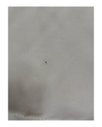 CANADA GOOSE MACMILLAN PARKA