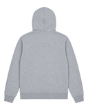 DRIPNORD grey cotton DIOR CD ICON HOODIE, back view. Classic fit with ribbed cuffs and hem.